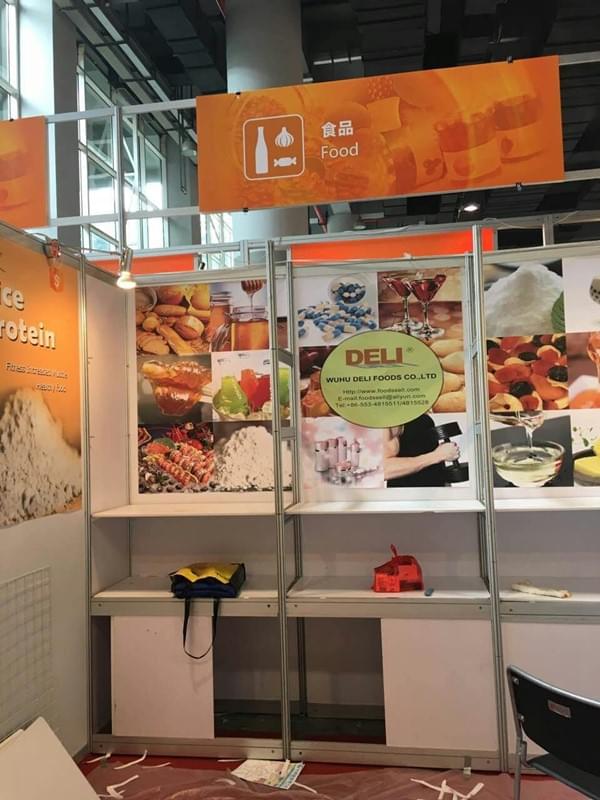 Exposición Internacional (9)