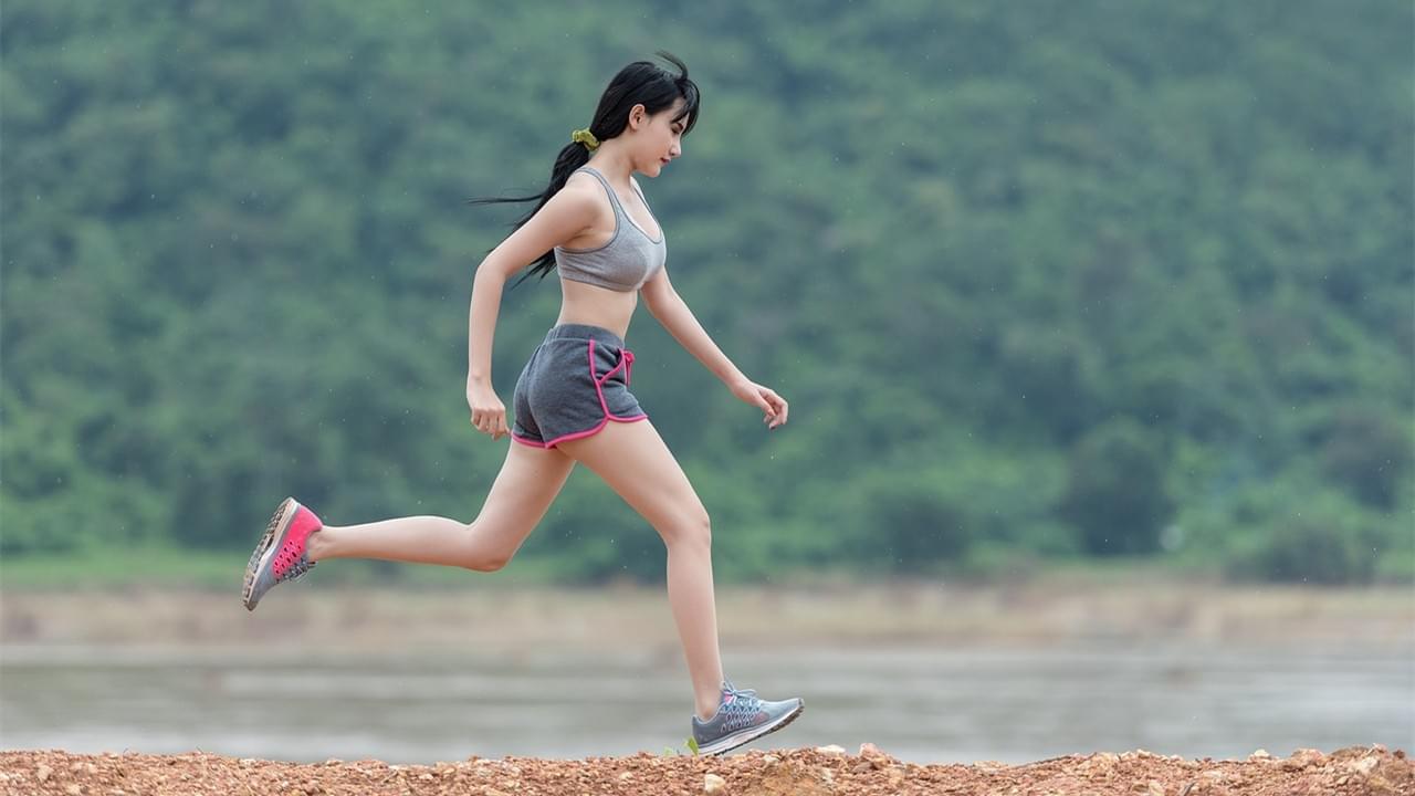 Devriez-vous choisir la protéine de riz