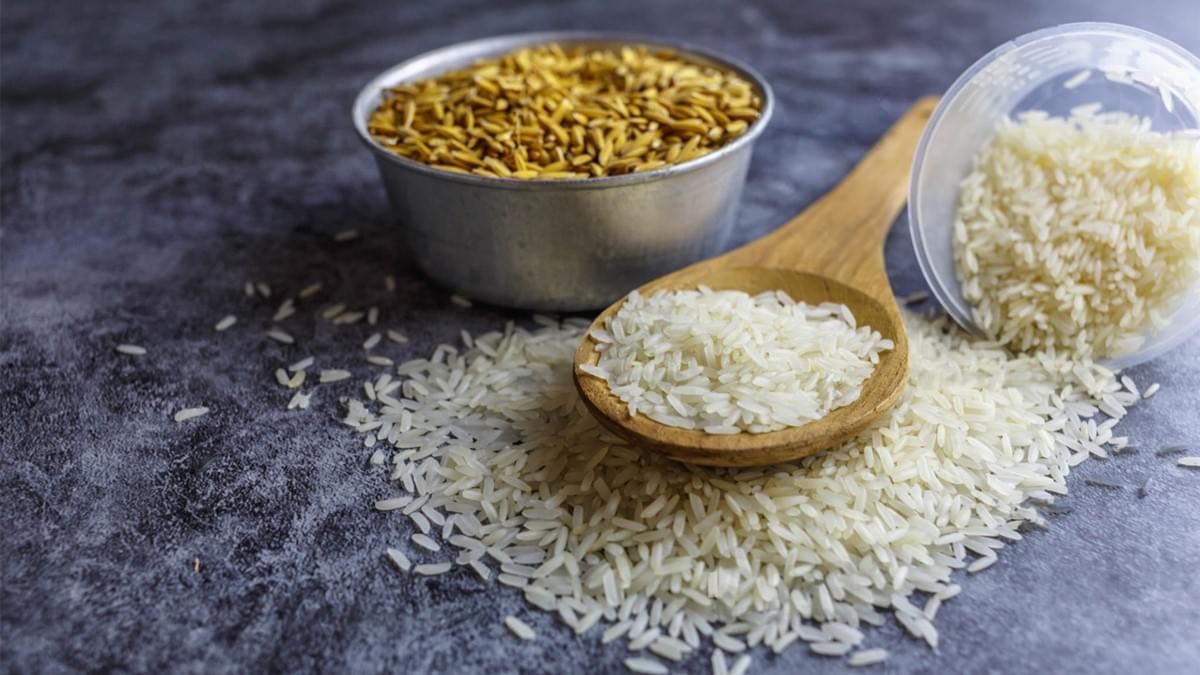 Menggali Potensi Tepung Protein Beras