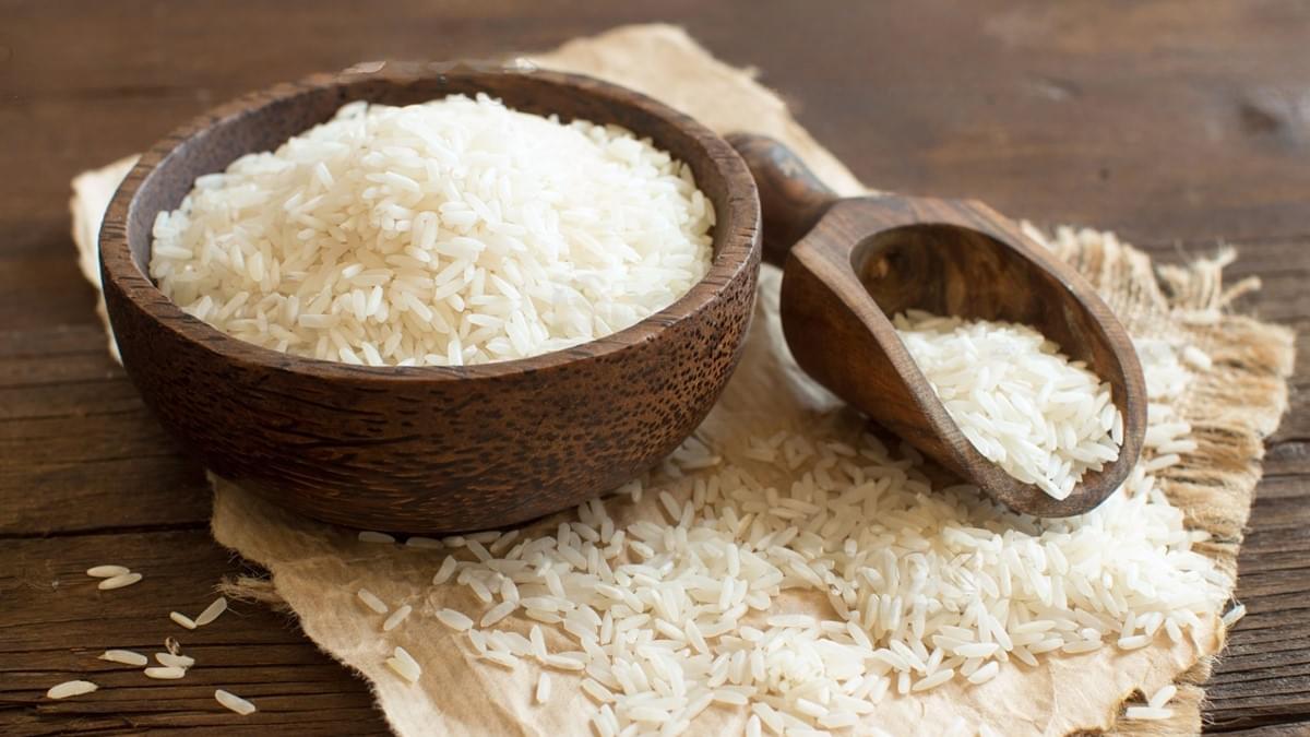 Dévoiler le pouvoir de la protéine de riz brun