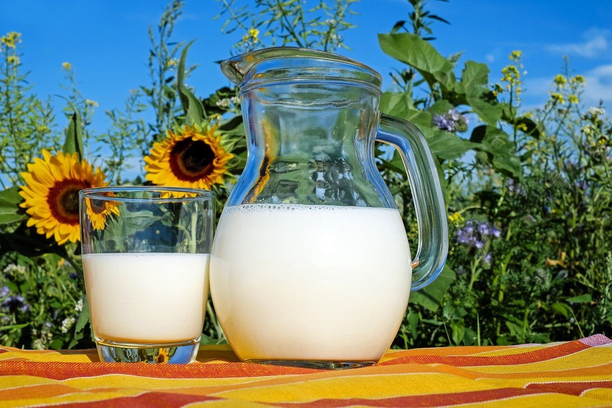 Rice Protein The Superfood You Need To Know About